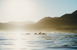 Two men paddling on stand up paddleboards with the sun setting behind them.