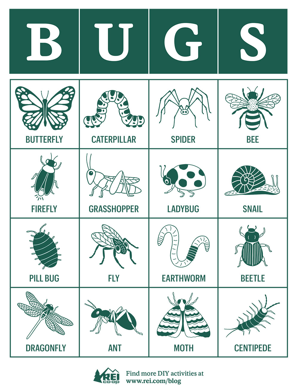 Bug Bingo Card 