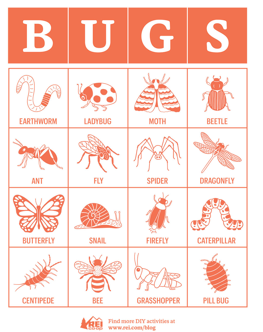 Bug Bingo Card 