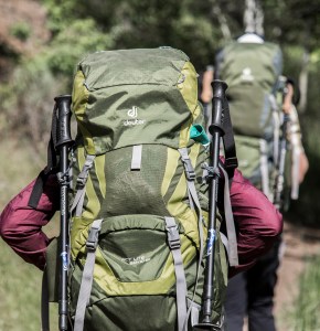Deuter ACT Lite 65 + 10 Pack - Men's