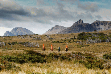 Two surfers carrying surfboards on their backs make their way across a brush-covered landscape