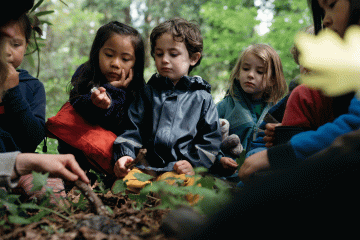 Children gather around as teacher conducts lesson in a forest