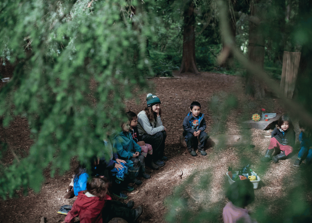 Children gather in a forest clearing with their teacher