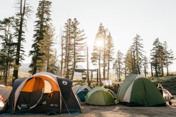 A group of tents sits in front of a group of pine trees, the sun shining through.