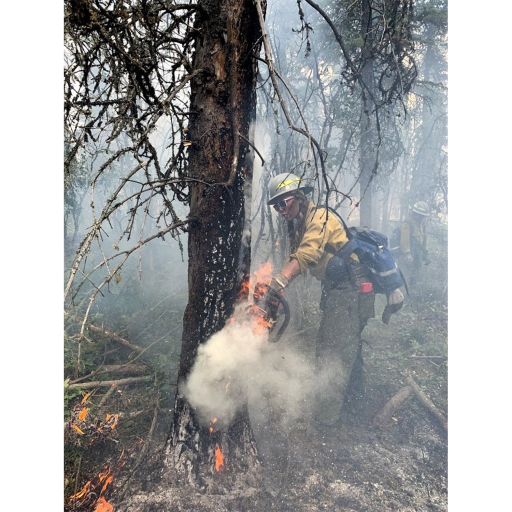 A woman cuts through a tree in a wildfire zone