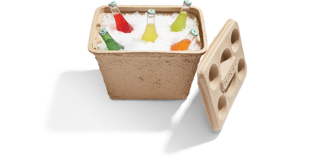 Igloo Recool Cooler