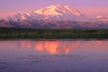 Alaska's Denali