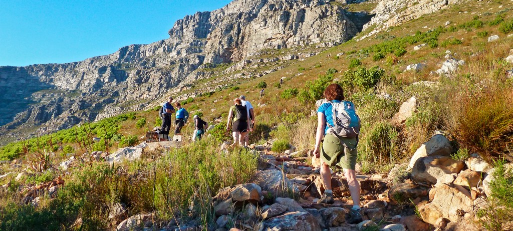 Hikers walk through a green landscape with rocks in the background.