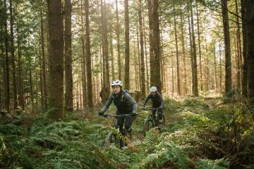Cyclists ride trails in Bellingham, Washington.