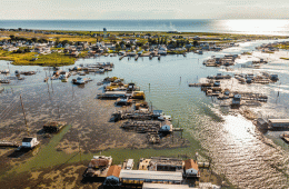 Chesapeake Bay’s Vanishing Island