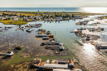 Chesapeake Bay’s Vanishing Island