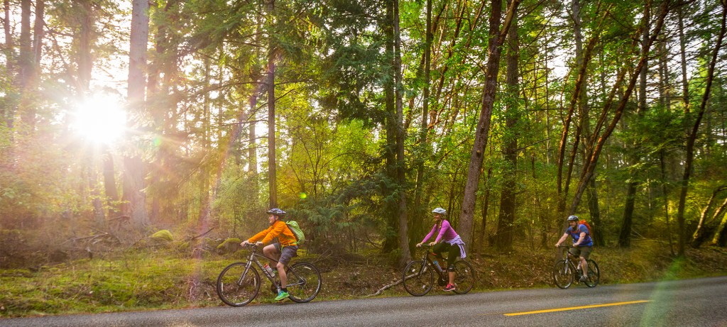 Cyclist ride down a road, trees and sun beams in the background.