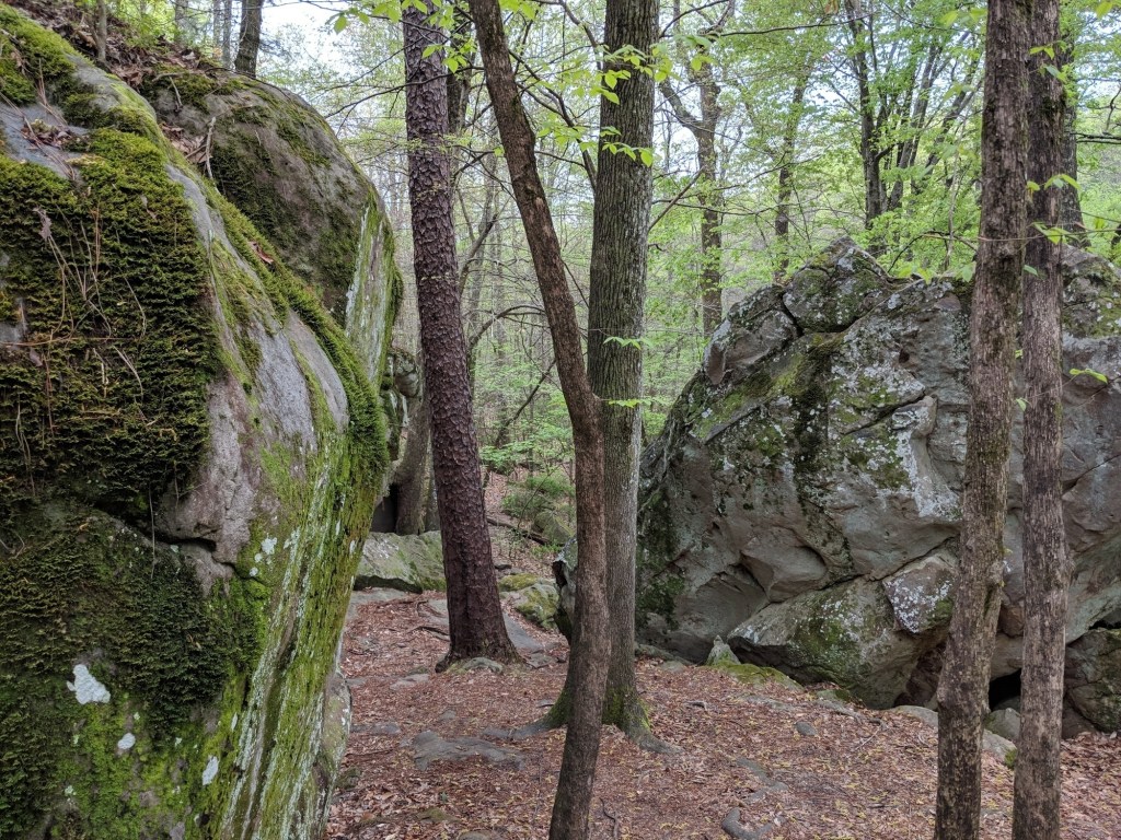 Mossy boulders and a few trees. 