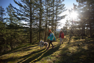 Two people hiking with a medium size dog with long hair