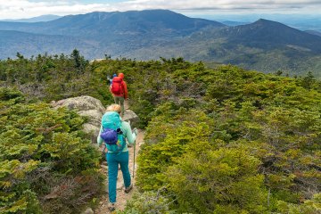 Hikers walking a stretch of the Appalachian Trail in New Hampshire.