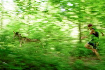 Running With Donkeys with Chris McDougall