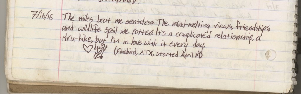 A photo of a log book entry that says: The miles beat me senseless. The mind-melting views, friendships, and wildlife spoil me rotton. It's a complicated relationship, a thru-hike, but I'm in love with it every day.