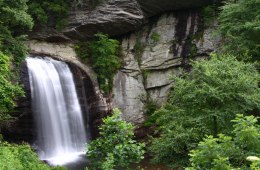 Looking Glass Falls is one of the region's most famous cascades.