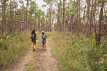 Senate Takes First Step in Advancing Two New Bills to Fund Our Public Lands