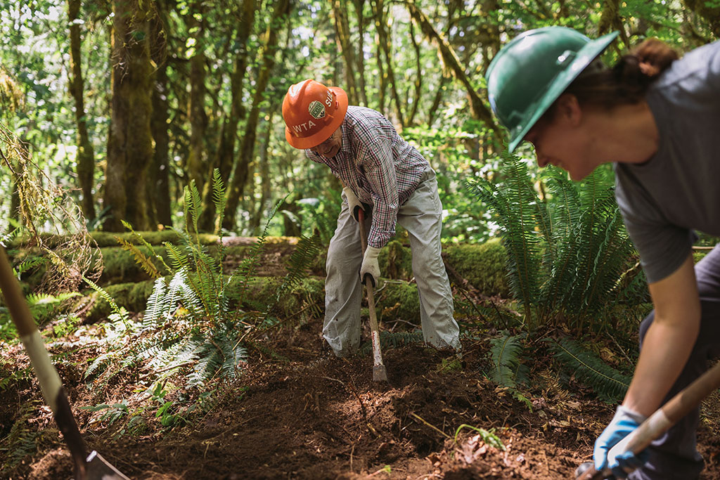 Washington Trails Association trail work party
