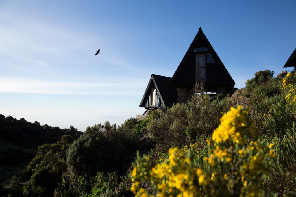 Flowers bloom in front of an A-frame hut on Kilimanjaro. 