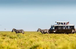 Things to Do in Tanzania: Our 6 Favorite Places