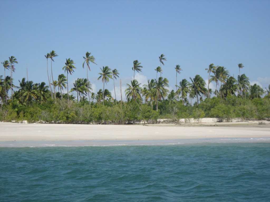 The palm trees and sand beaches of Tanzania's Mafia Island. 