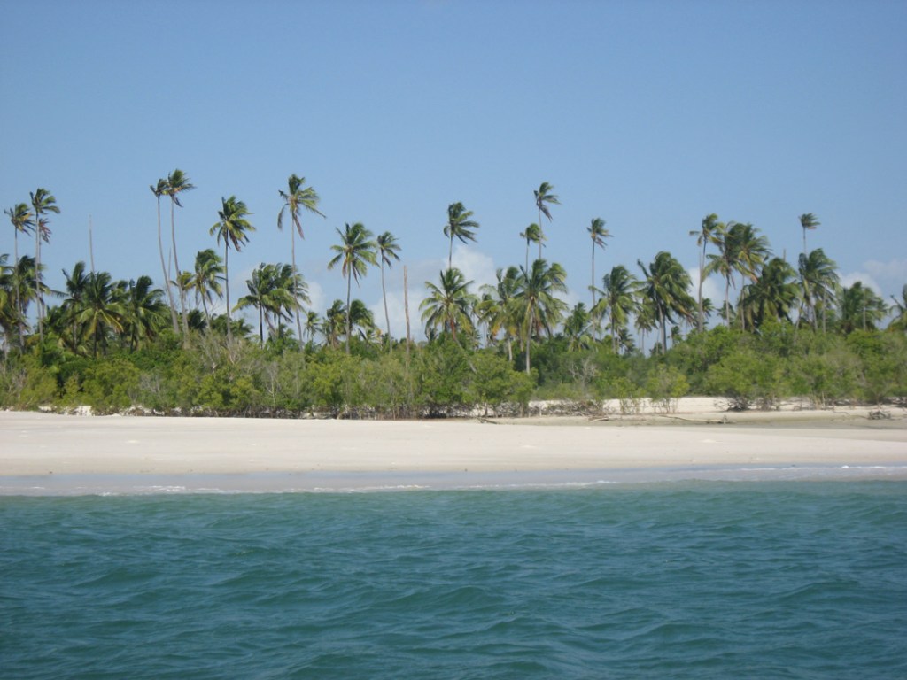 The palm trees and sand beaches of Tanzania's Mafia Island.