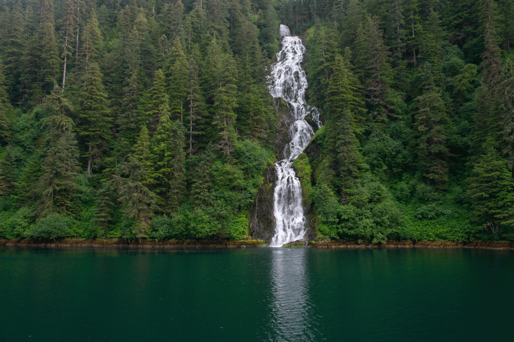 A waterfall cascading through Tongass National Forest