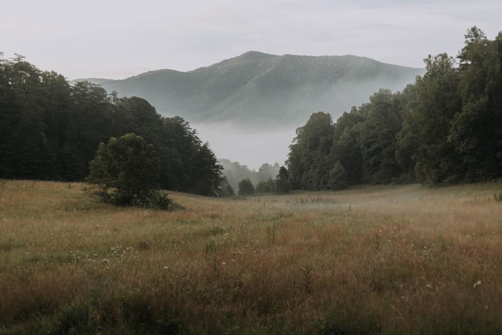 Fog in the Smoky Mountain National Park