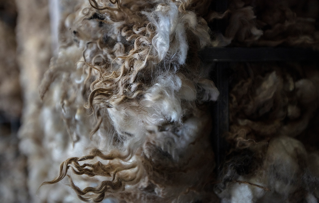 Gotland wool