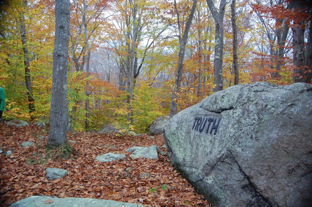 A large, gray boulder with the word "TRUTH" carved into it sits among fallen leaves in a forest with leaves that are changing color.