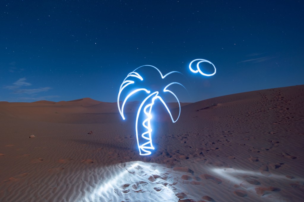 Light painting of a palm tree in the desert at night