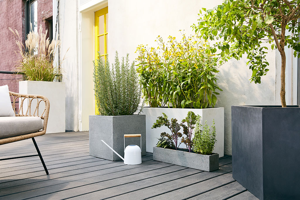 Planters in a backyard