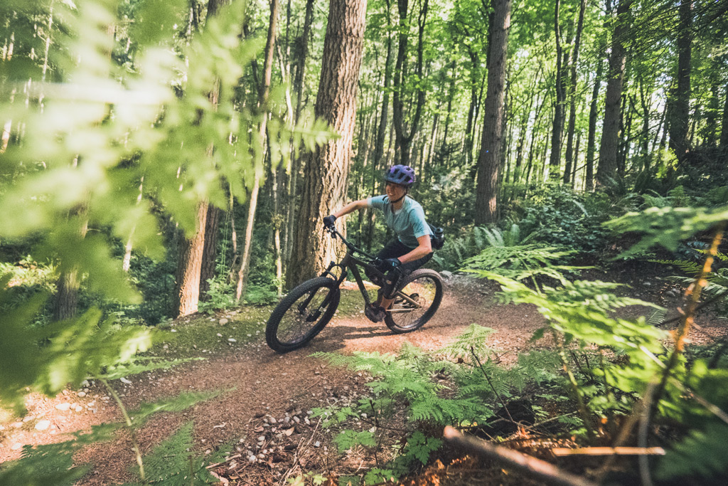 Woman mountain biking in forest.