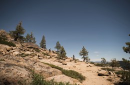 REI Member Meeting 2020: Committed to Our Values