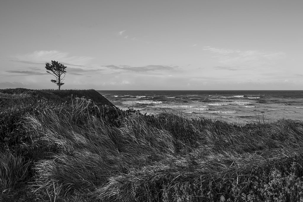 Point Haynisisoos
