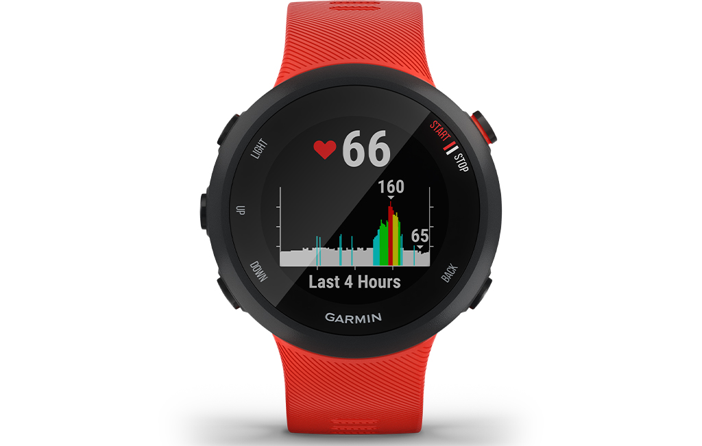 Garmin Forerunner 45 Watch