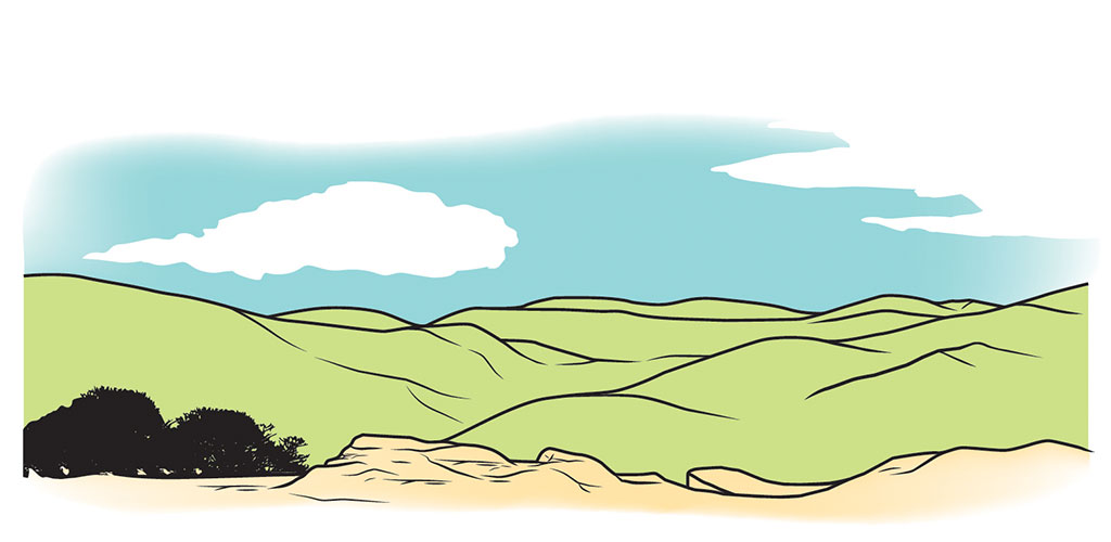 Illustration of Shenandoah National Park