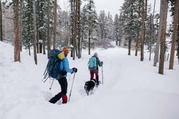 Two people and dog snowshoeing in wooded area.