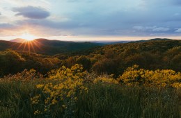 Shenandoah National Park