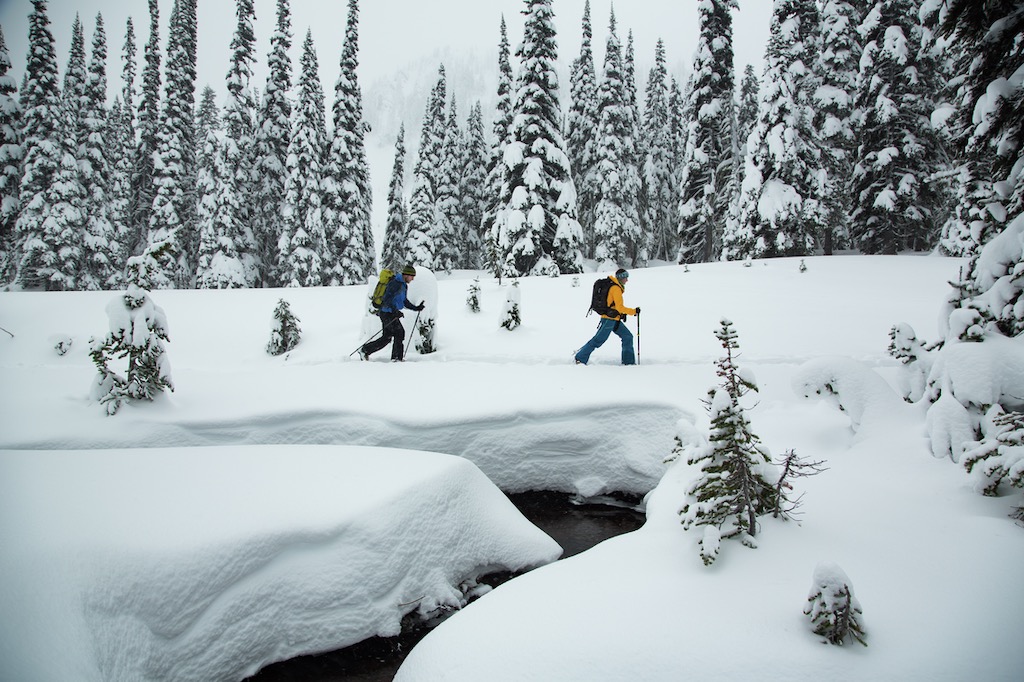 Two skiers in a snowy forest.