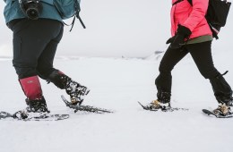 Two people snowshoeing