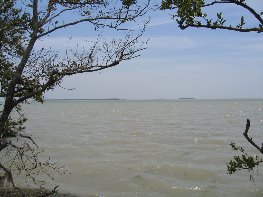 Coastal Prairie Trail