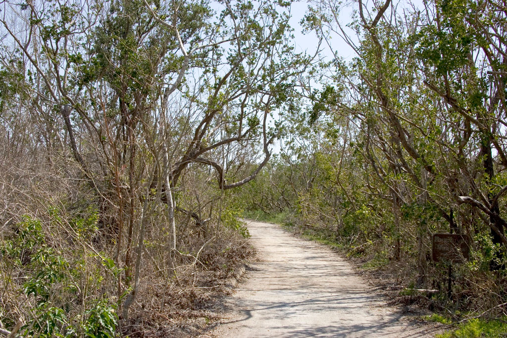 Rowdy Bend Trail
