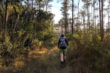 Hikers on a trail in Florida