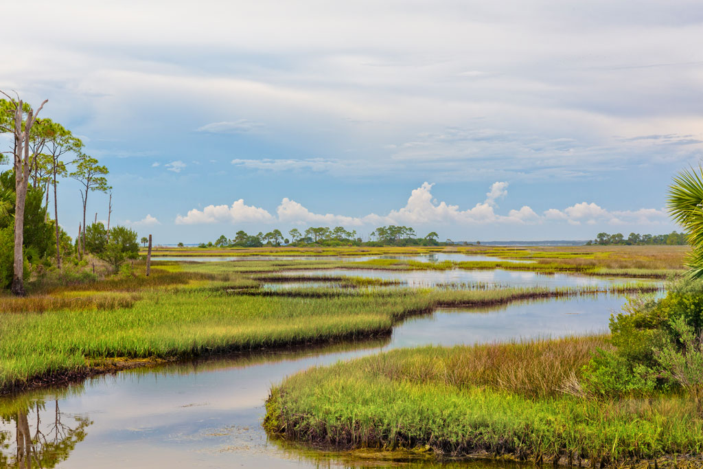 Mash land in Florida