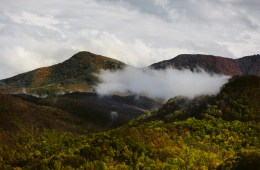 Photo of Great Smoky Mountains National Park