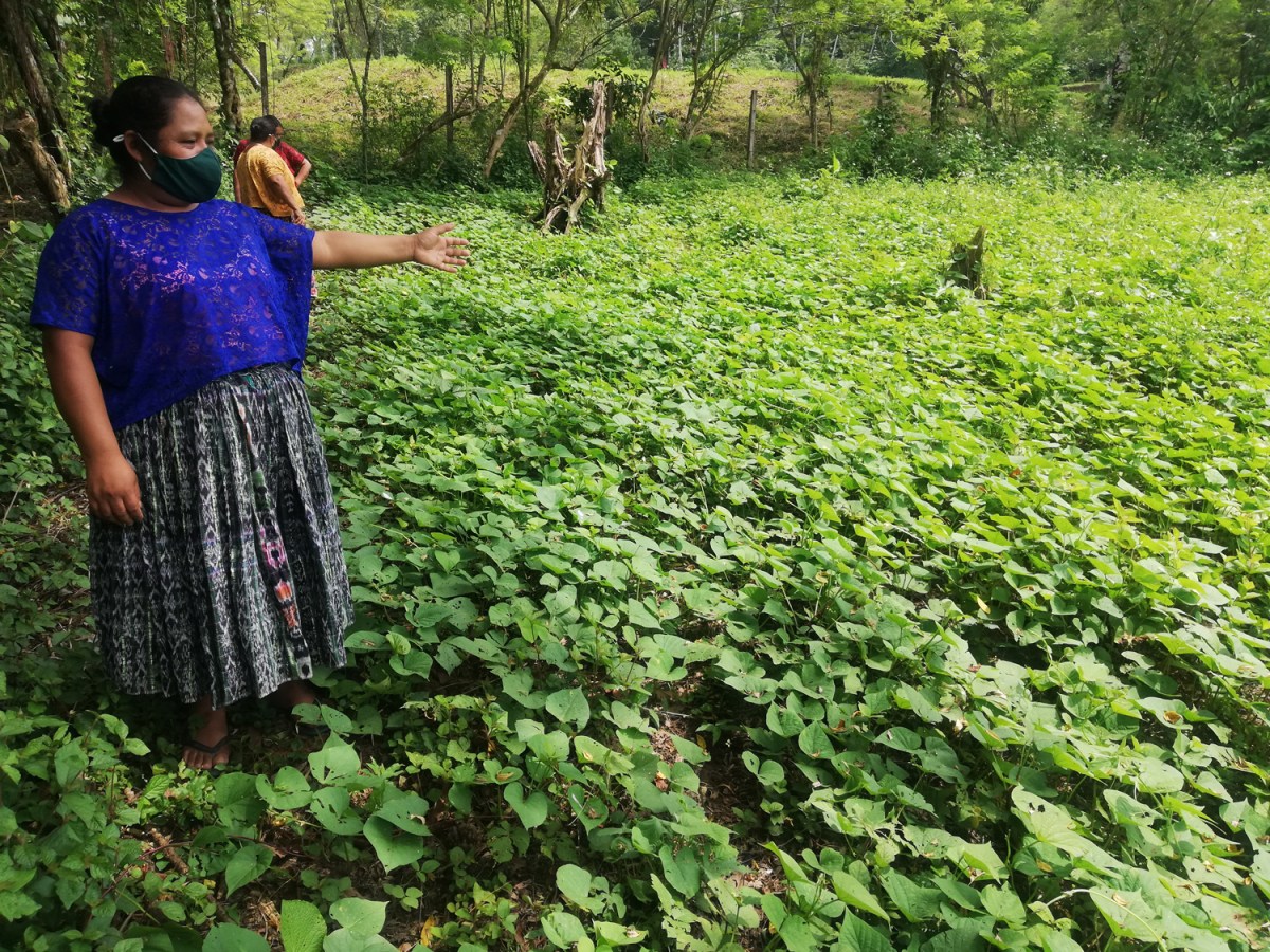 A woman gestures at a field of crops