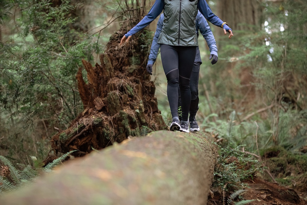 Two people walking on a large fallen log.
